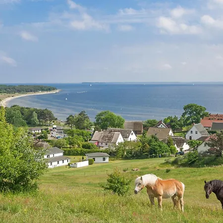 Rex Rugia Haus 17 05 * לובה