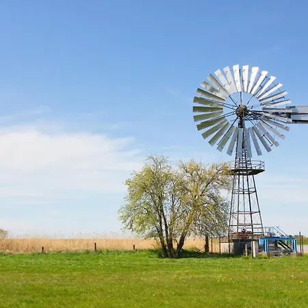 Rex Rugia Haus 17 05 דירה לובה