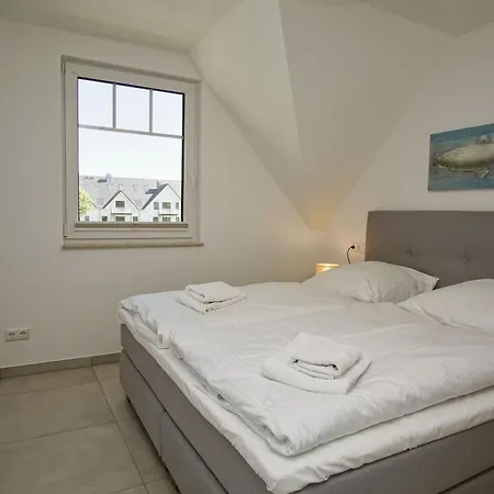 Rex Rugia Haus 17 05